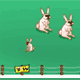 Jeu flash Une famille de lapin