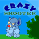 Crazy Shooter