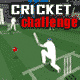 Jeu flash Cricket Challenge
