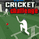 Cricket Challenge