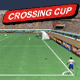 Crossing Cup