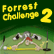 Forrest Challenge 2