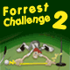 Jouer   Forrest Challenge 2