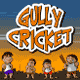 Gully Cricket