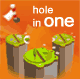 Hole in one