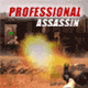 Jeu flash Professional Assassin