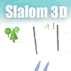 Jouer à  Slalom 3D
