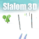 Jouer   Slalom 3D