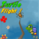 Turtle Flight