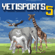 Yetisports 5